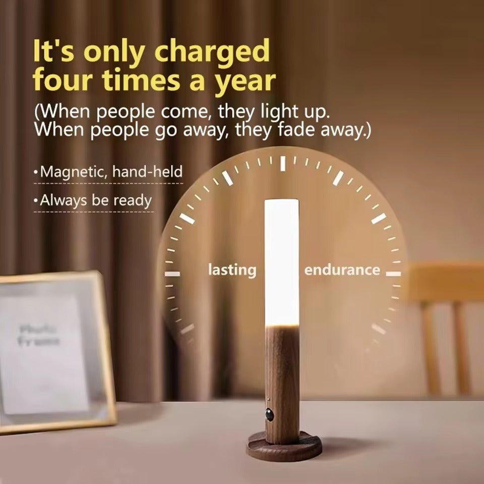 The Guardian Motion Light