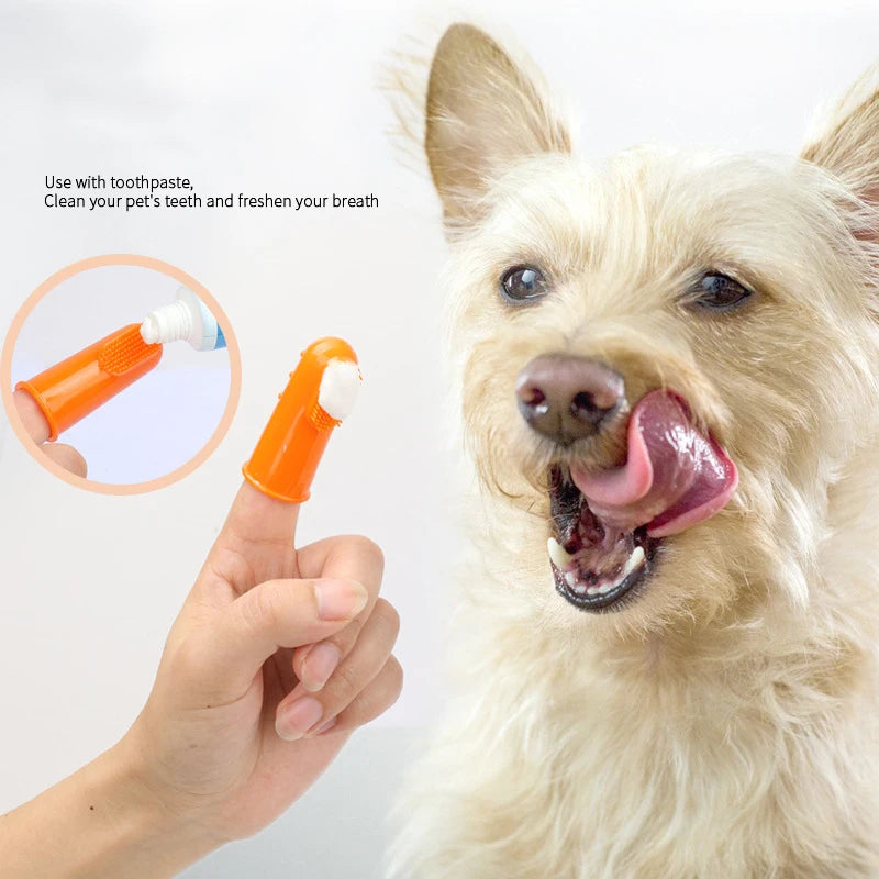 Toothbrush Care Pro
